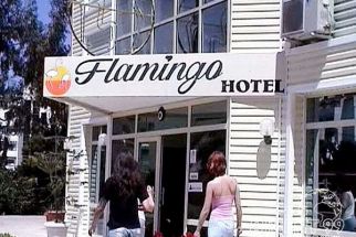 FLAMINGO